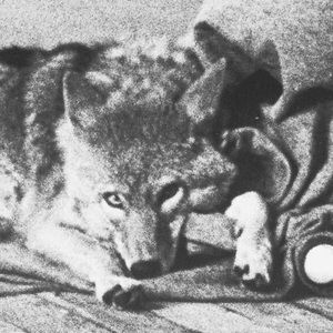 Meet your Posher, Rosario